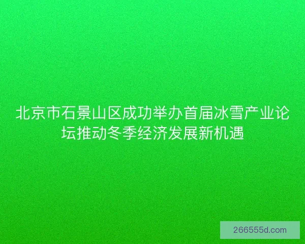 北京市石景山区成功举办首届冰雪产业论坛推动冬季经济发展新机遇